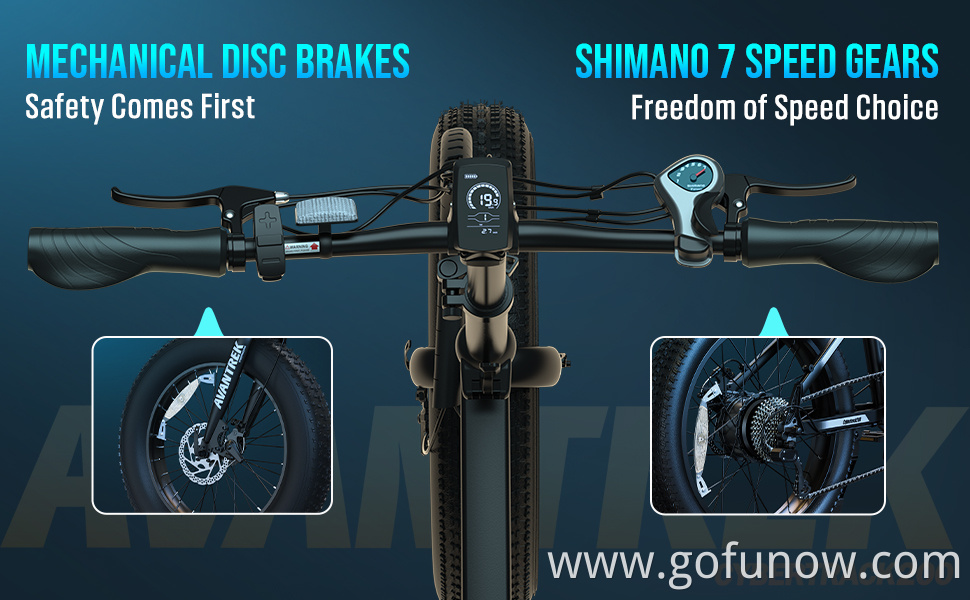 USA warehouse 20*4.0 electric fat tire beach bicycle tire New Arrival Cheapest Electric Bike Power Assisted Electric Bicycle
